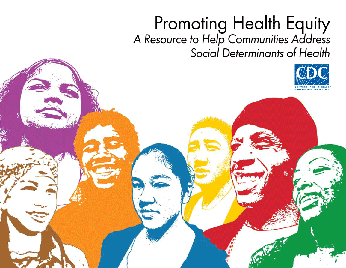 cover image for Promoting Health Equity